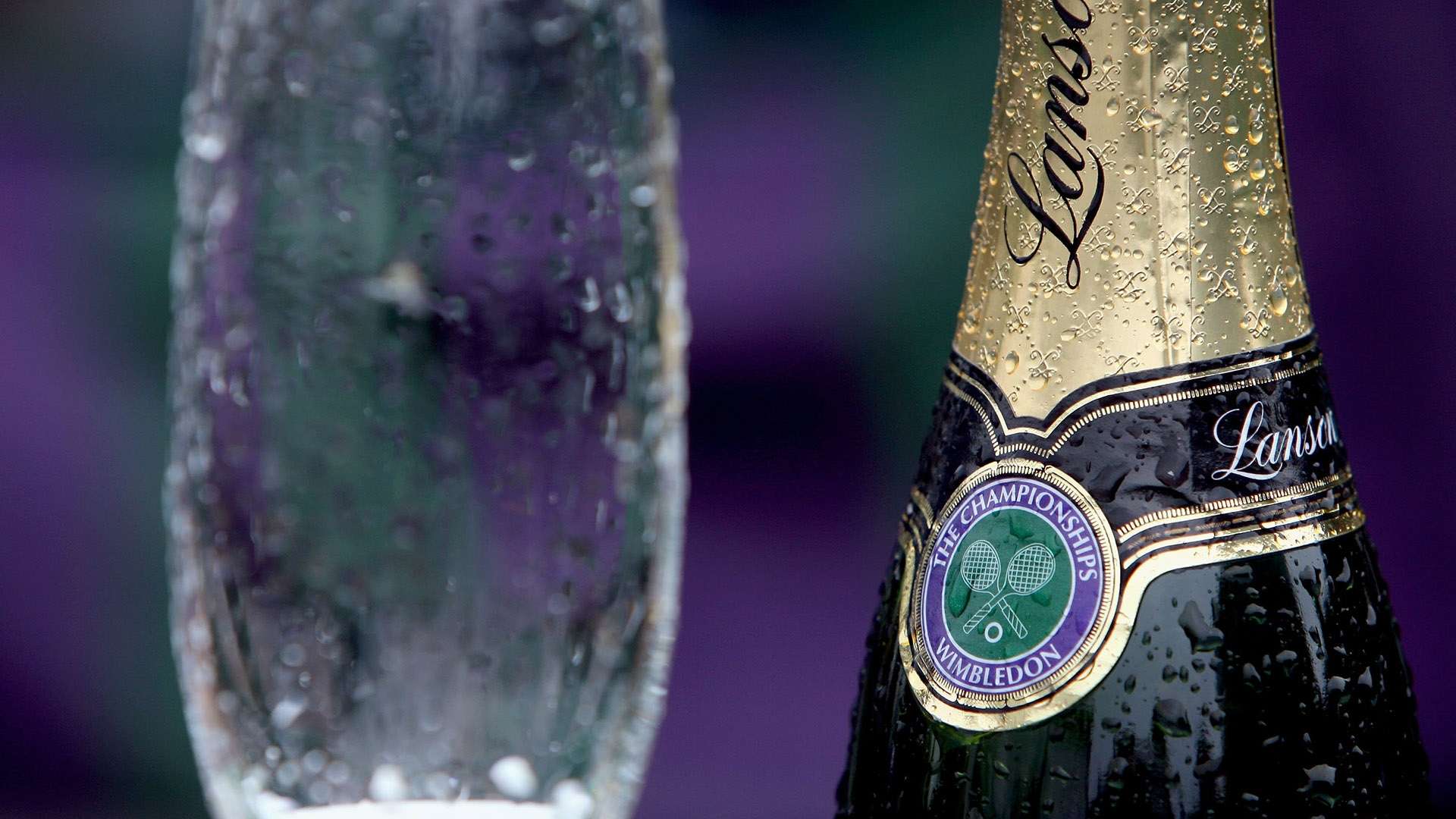 这与桑乔的 这与桑乔的