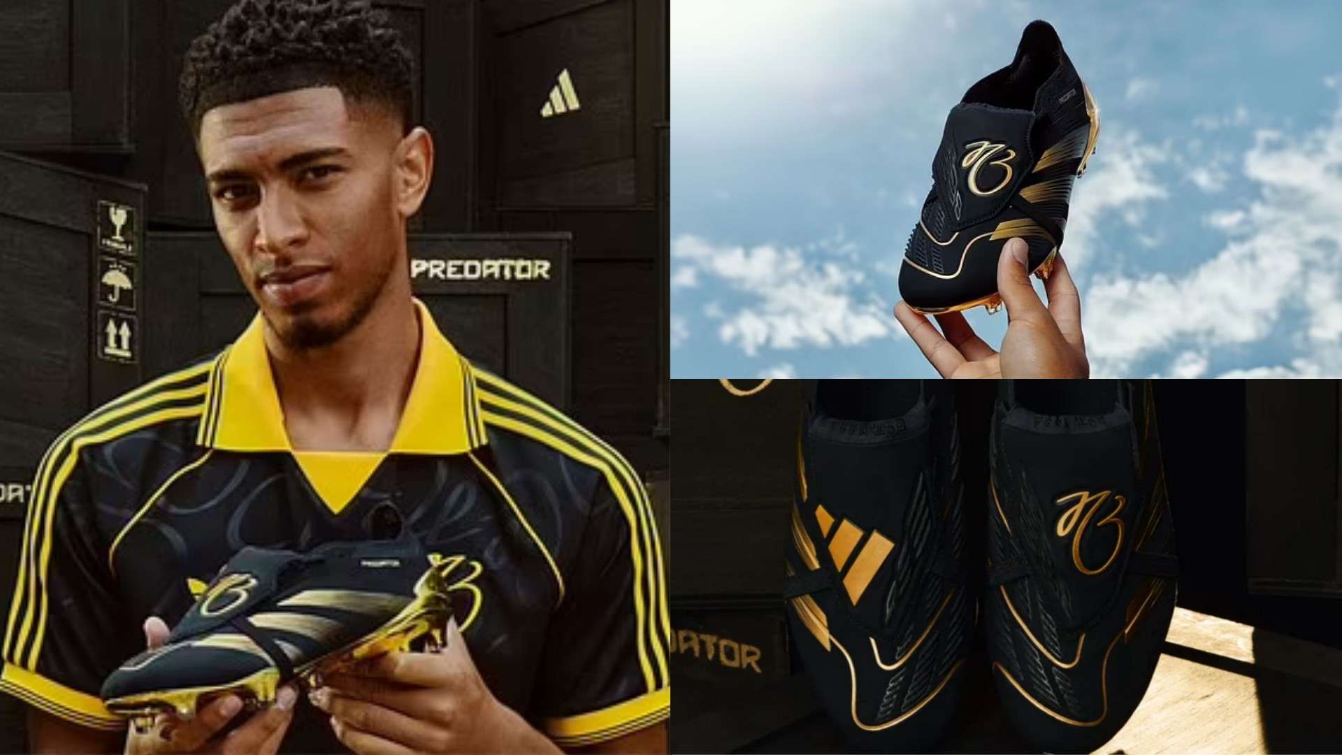 这样的能力 这样的能力