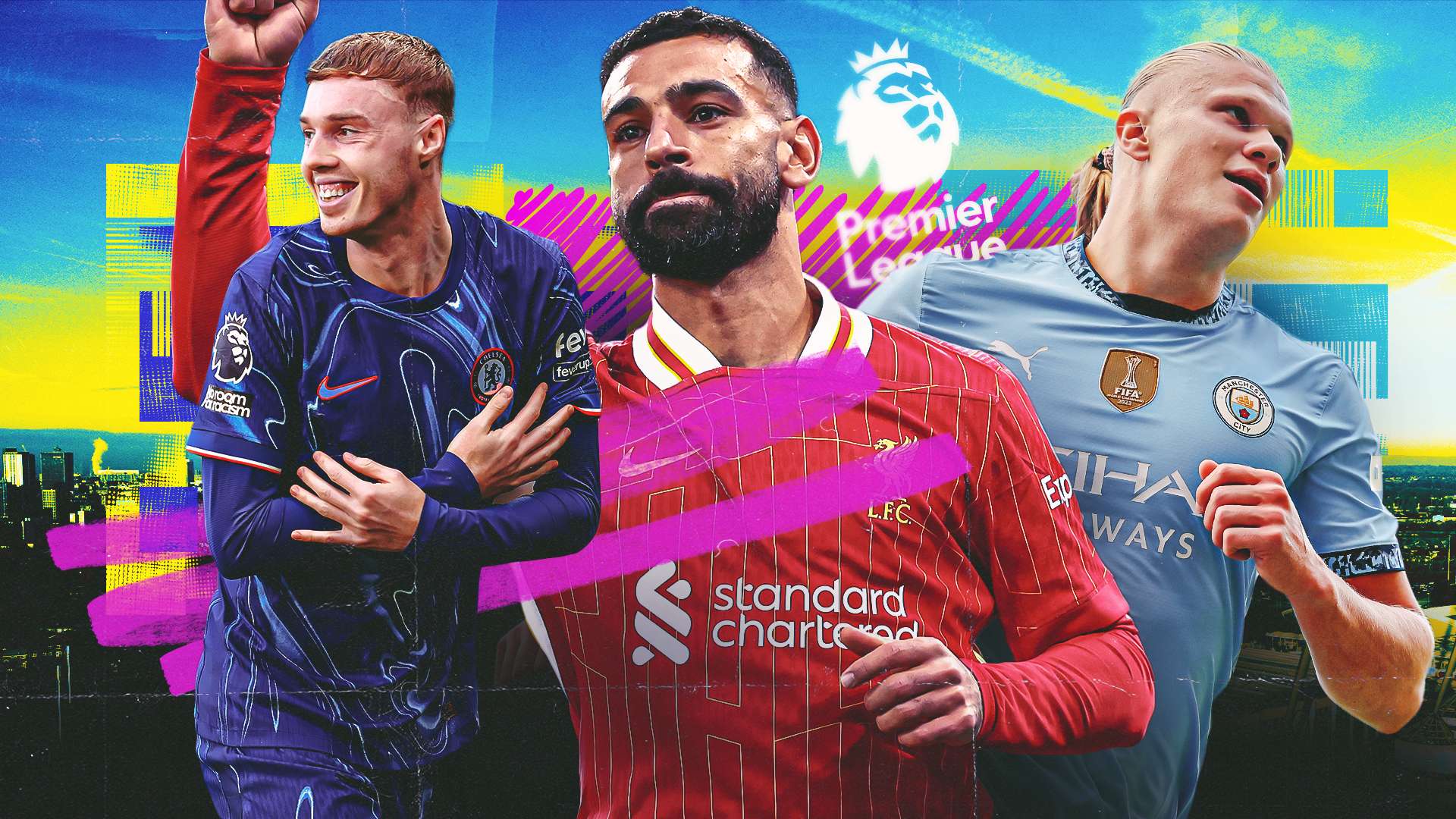 培养上的成 培养上的成